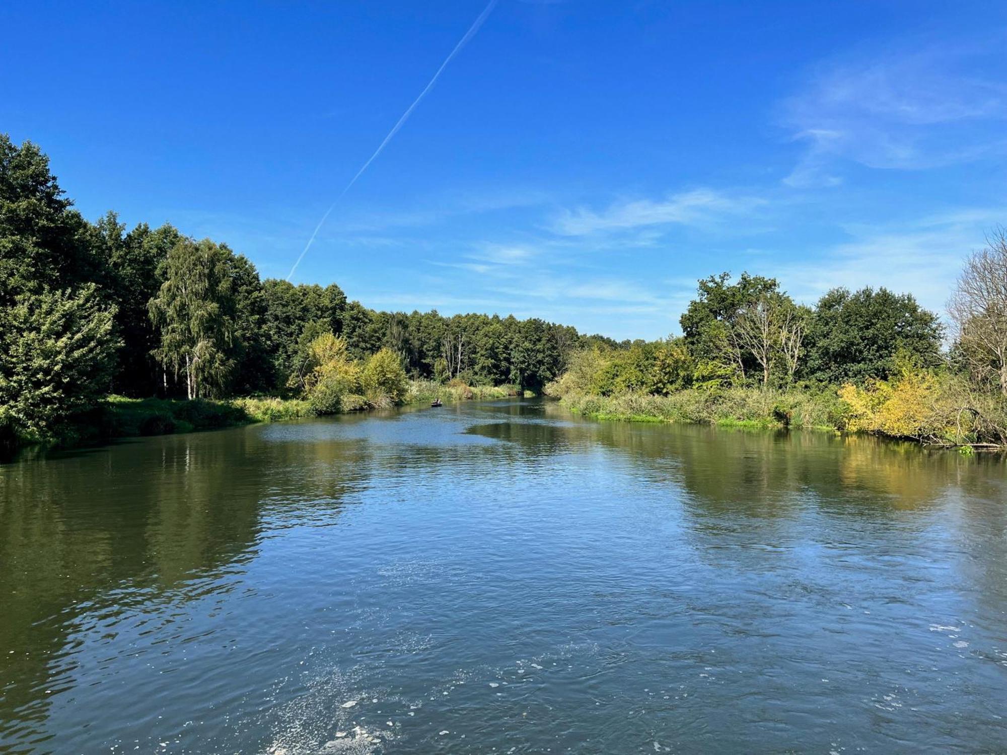 Ferienhaus Im Wald, Am Briesener See Neu Zauche Экстерьер фото