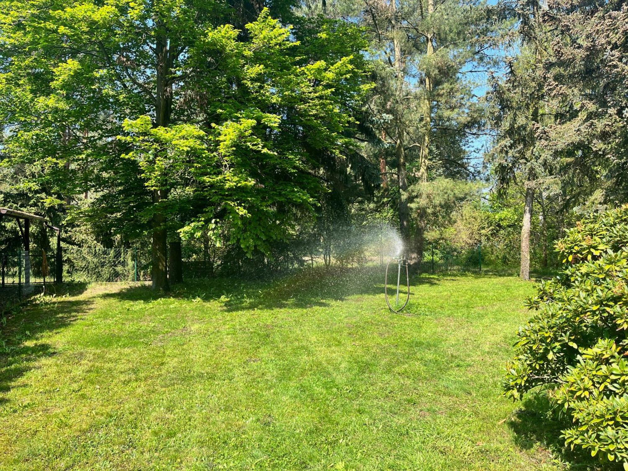 Ferienhaus Im Wald, Am Briesener See Neu Zauche Экстерьер фото