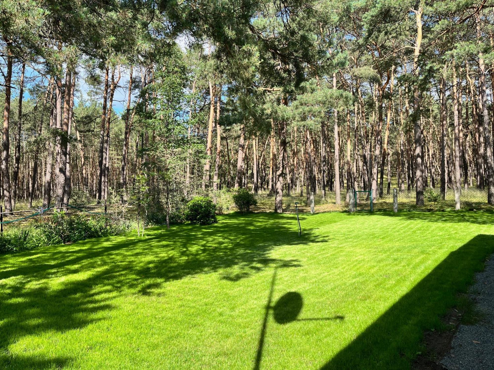 Ferienhaus Im Wald, Am Briesener See Neu Zauche Экстерьер фото